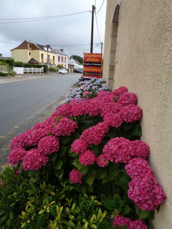 Bed and Breakfast Popote Et Polochon Saint-Martin-sur-Oust Екстер'єр фото